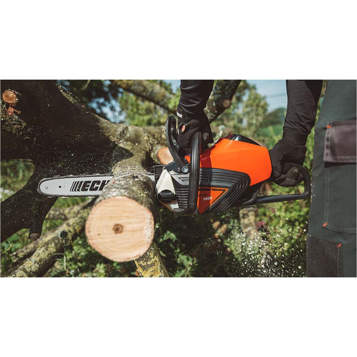 How to work with a battery chainsaw Jan Maes Outdoor Training
